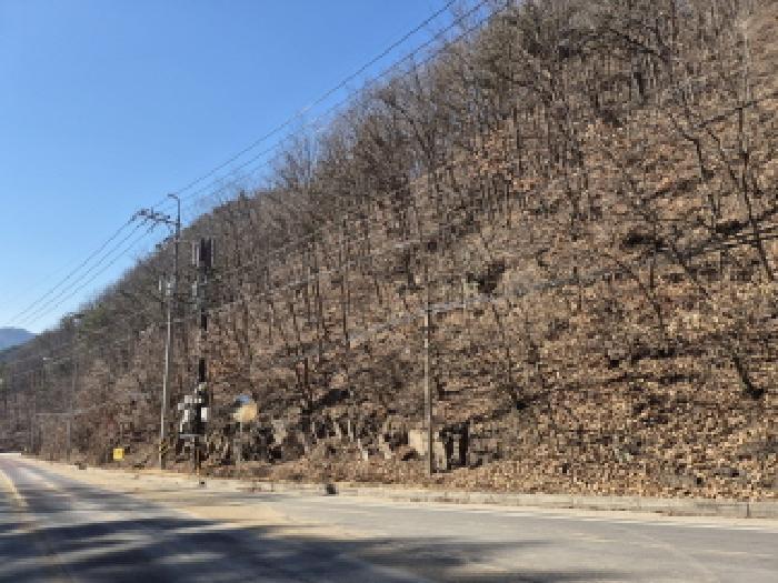 경상북도 영양군 청기면 산운리 산30-3 임야 경매 사진 23