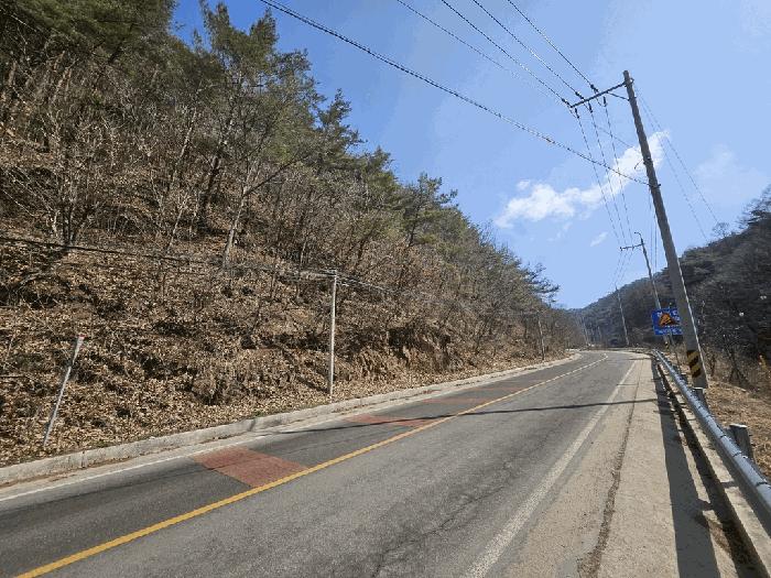 경상북도 영양군 청기면 산운리 산30-3 임야 경매 사진 4