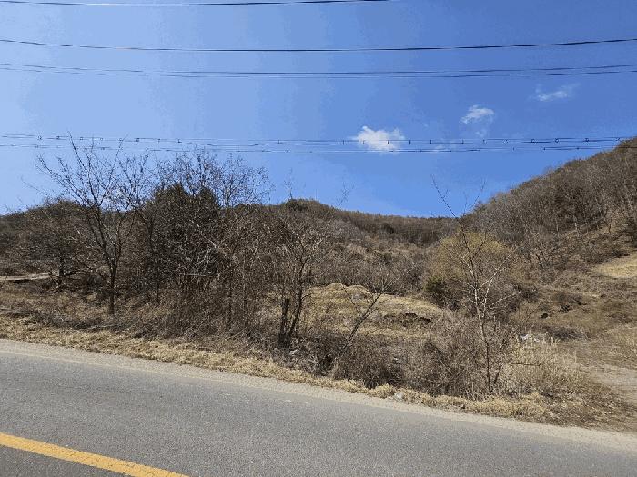 경상북도 영양군 영양읍 상원리 산43-4 임야 경매 사진 16