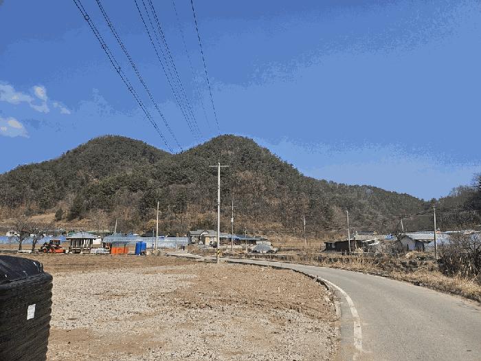 경상북도 영양군 영양읍 상원리 산43-4 임야 경매 사진 2