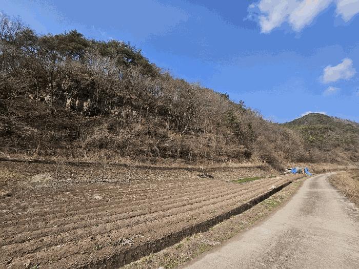 경상북도 영양군 영양읍 상원리 산43-4 임야 경매 사진 5