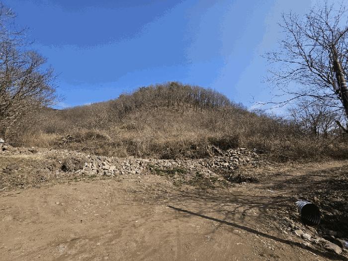 경상북도 영양군 입암면 금학리 산164 임야 경매 사진 17