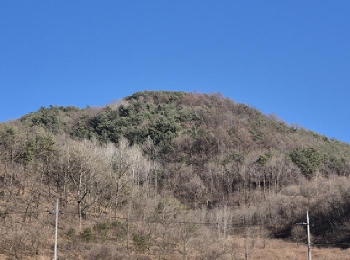 경상북도 영양군 입암면 금학리 산164 임야 경매 사진 26