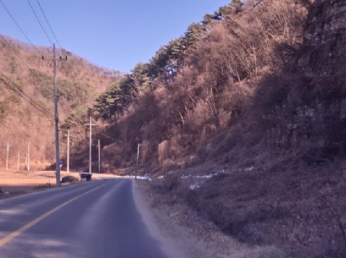 경상북도 영양군 청기면 기포리 산87-3 임야 경매 사진 29
