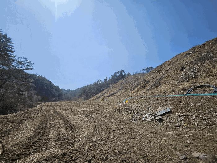 경상북도 영양군 청기면 정족리 산221 임야 경매 사진 8