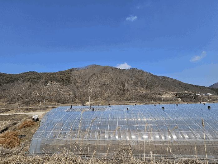 경상북도 영양군 청기면 정족리 산94-1 임야 경매 사진 10