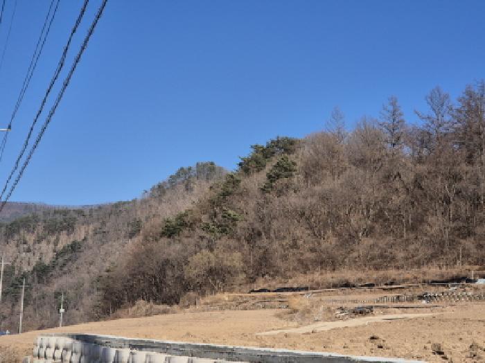 경상북도 영양군 청기면 정족리 산94-1 임야 경매 사진 28