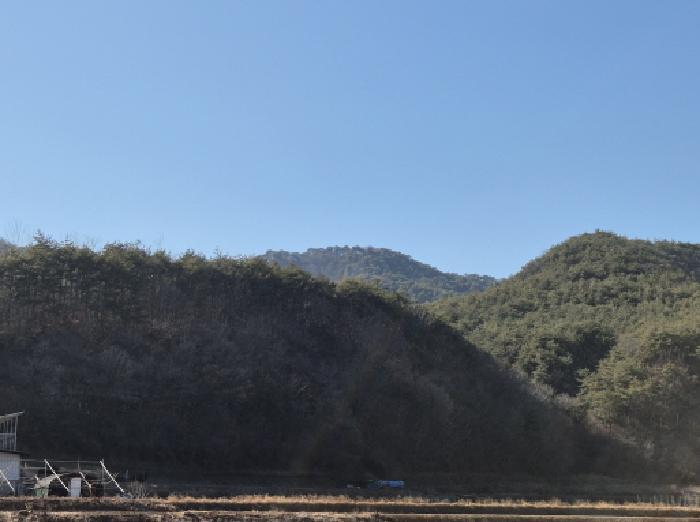 경상북도 영양군 입암면 금학리 산128 임야 경매 사진 18