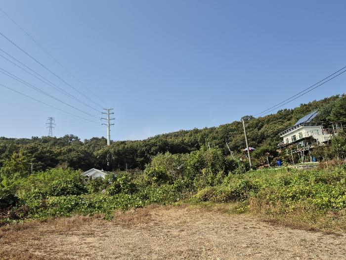 인천 강화군 임야