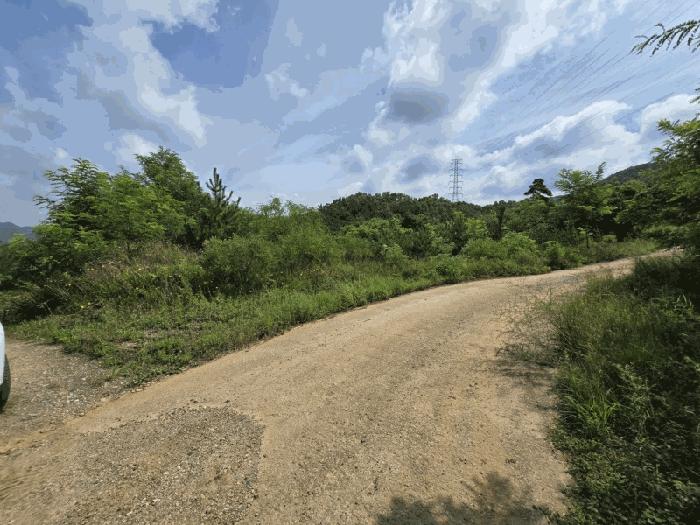 충청북도 청주시 상당구 가덕면 청용리 산30 임야 경매 사진 1