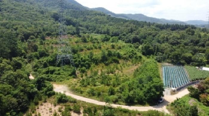 충청북도 청주시 상당구 가덕면 청용리 산30 임야 경매 사진 10