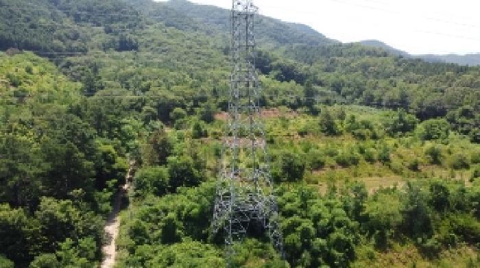 충청북도 청주시 상당구 가덕면 청용리 산30 임야 경매 사진 13