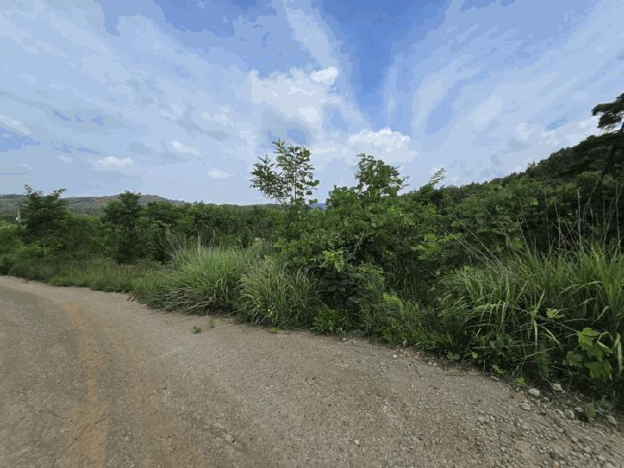 충청북도 청주시 상당구 가덕면 청용리 산30 임야 경매 사진 2