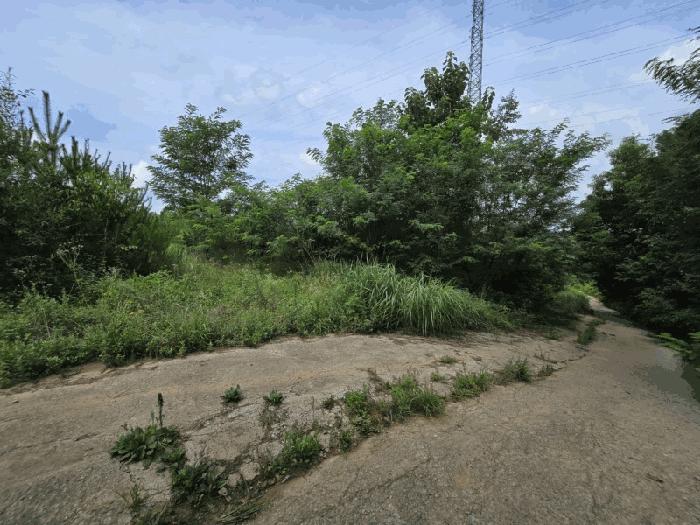 충청북도 청주시 상당구 가덕면 청용리 산30 임야 경매 사진 5