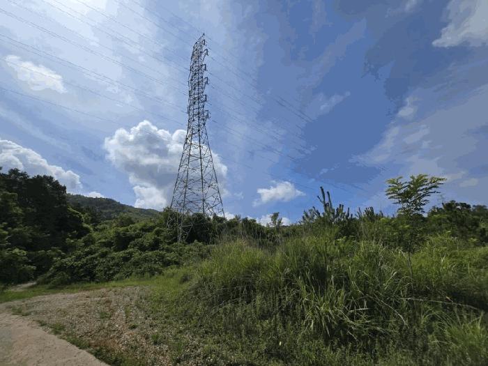 충청북도 청주시 상당구 가덕면 청용리 산30 임야 경매 사진 6
