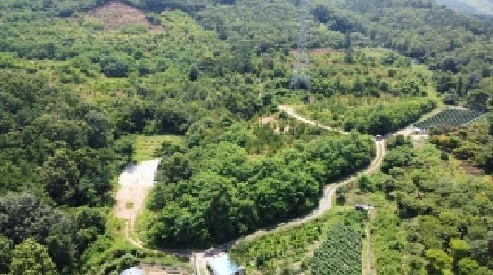 충청북도 청주시 상당구 가덕면 청용리 산30 임야 경매 사진 7