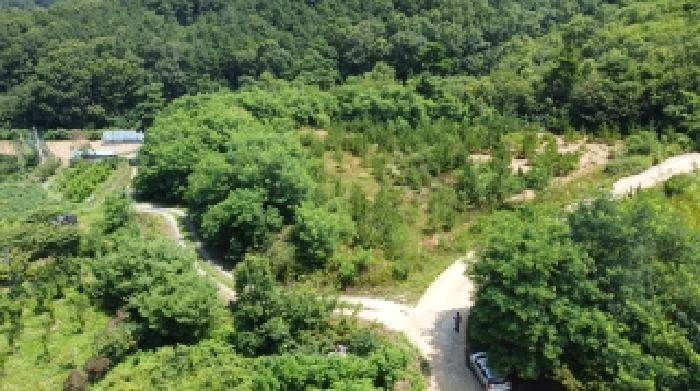 충청북도 청주시 상당구 가덕면 청용리 산30 임야 경매 사진 8