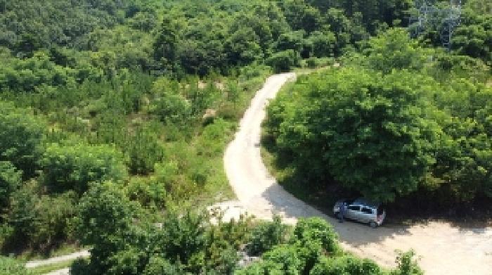 충청북도 청주시 상당구 가덕면 청용리 산30 임야 경매 사진 9