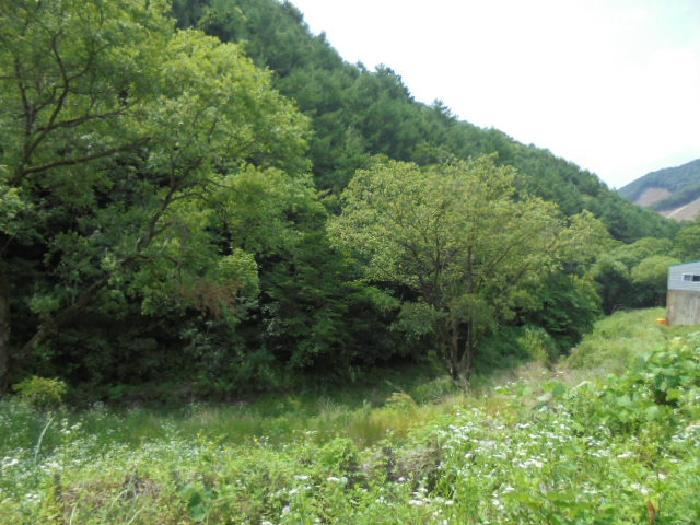 충청북도 괴산군 문광면 광덕리 595-2 공장 경매 사진 10