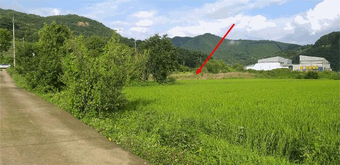 충청북도 괴산군 연풍면 갈금리 162-1 답 경매 사진 2