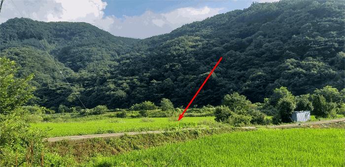 충청북도 괴산군 연풍면 갈금리 162-1 답 경매 사진 3
