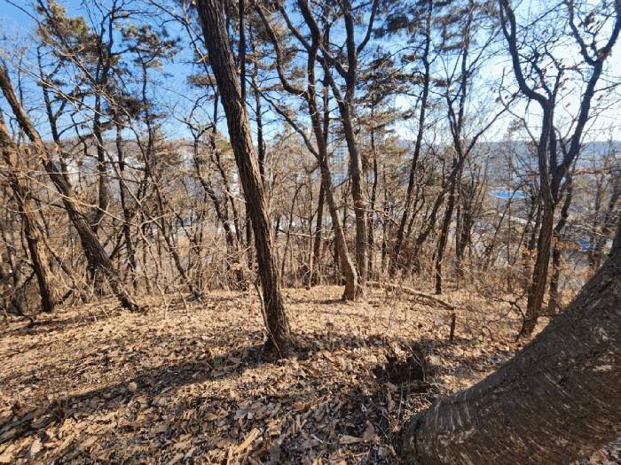 경기도 성남시 중원구 도촌동 산9 임야 경매 사진 10