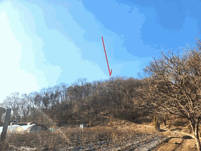 경기도 성남시 중원구 도촌동 산9 임야 경매 사진 11