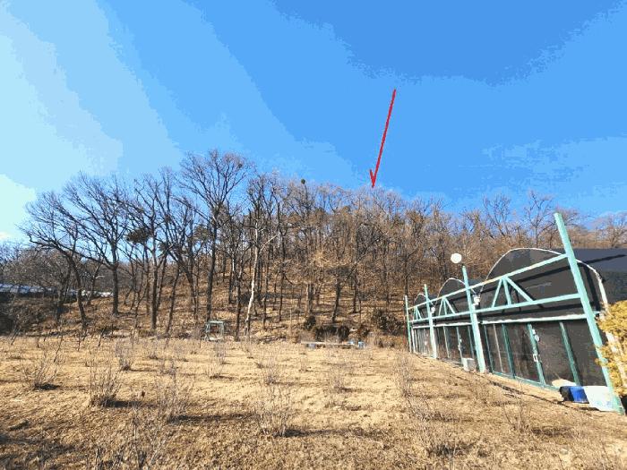 경기도 성남시 중원구 도촌동 산9 임야 경매 사진 13