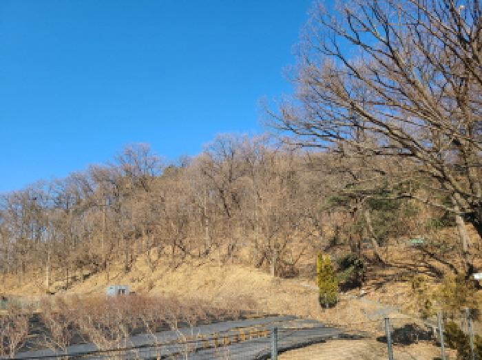 경기도 성남시 중원구 도촌동 산9 임야 경매 사진 16