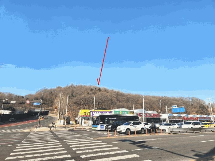 경기도 성남시 중원구 도촌동 산9 임야 경매 사진 3