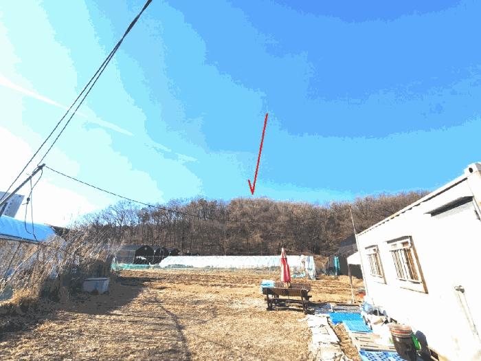 경기도 성남시 중원구 도촌동 산9 임야 경매 사진 8