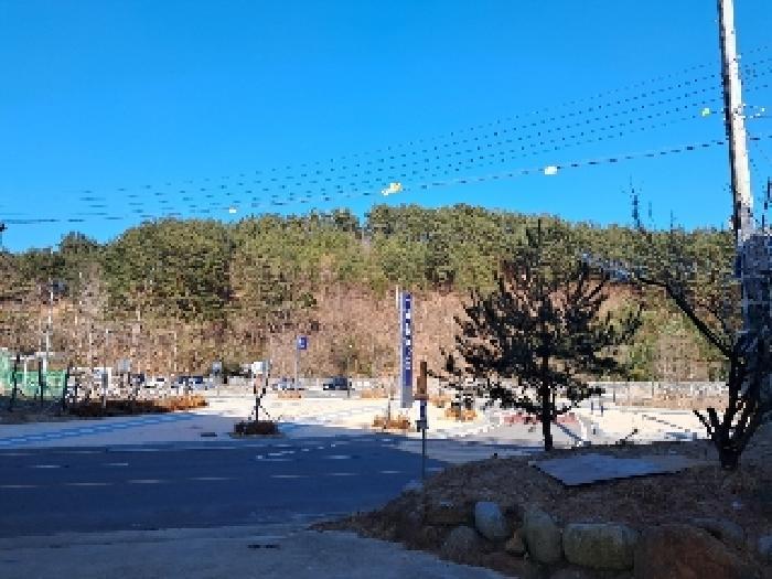 강원 삼척시 임야