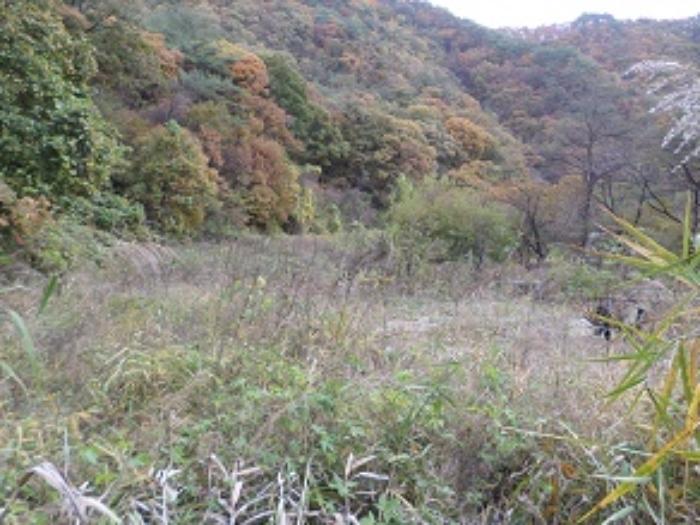 강원특별자치도 횡성군 우천면 오원리 234 전 경매 사진 9