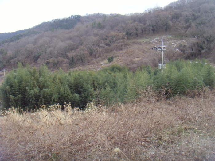 전라남도 해남군 화원면 인지리 295 전 경매 사진 12