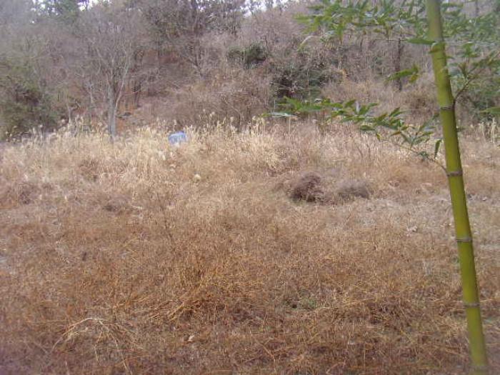 전라남도 해남군 화원면 인지리 295 전 경매 사진 8
