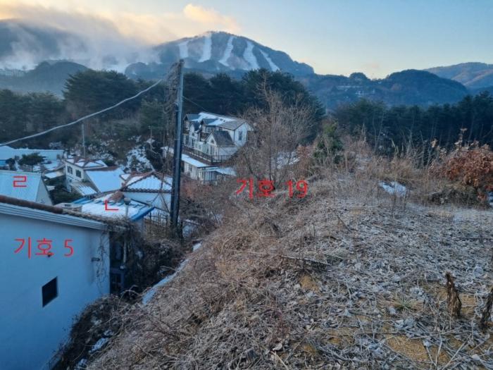 강원특별자치도 횡성군 둔내면 두원리 666-3 펜션(캠핑장) 경매 사진 10