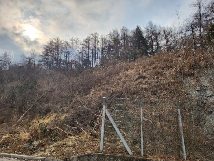 충청북도 제천시 수산면 구곡리 28-3 임야 경매 사진 11