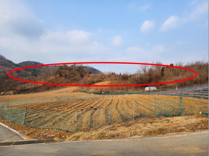 충청북도 제천시 수산면 구곡리 28-3 임야 경매 사진 13