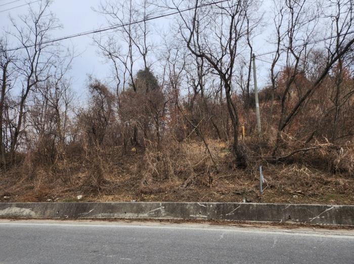 충청북도 제천시 수산면 구곡리 28-3 임야 경매 사진 18