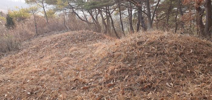 충청북도 제천시 수산면 구곡리 28-3 임야 경매 사진 23