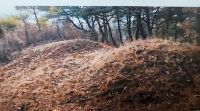 충청북도 제천시 수산면 구곡리 28-3 임야 경매 사진 33