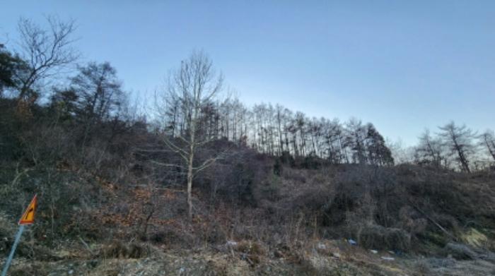 충청북도 제천시 수산면 구곡리 28-3 임야 경매 사진 52