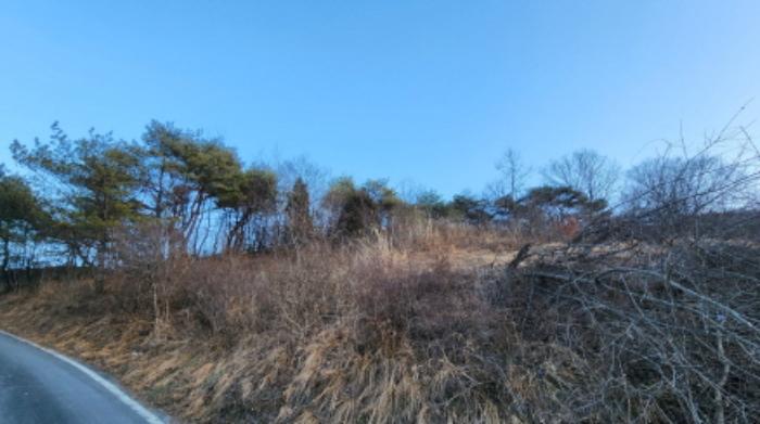 충청북도 제천시 수산면 구곡리 28-3 임야 경매 사진 55