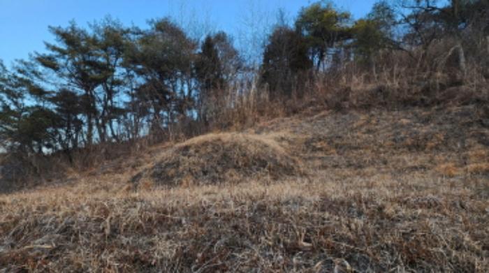 충청북도 제천시 수산면 구곡리 28-3 임야 경매 사진 57