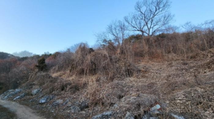 충청북도 제천시 수산면 구곡리 28-3 임야 경매 사진 62