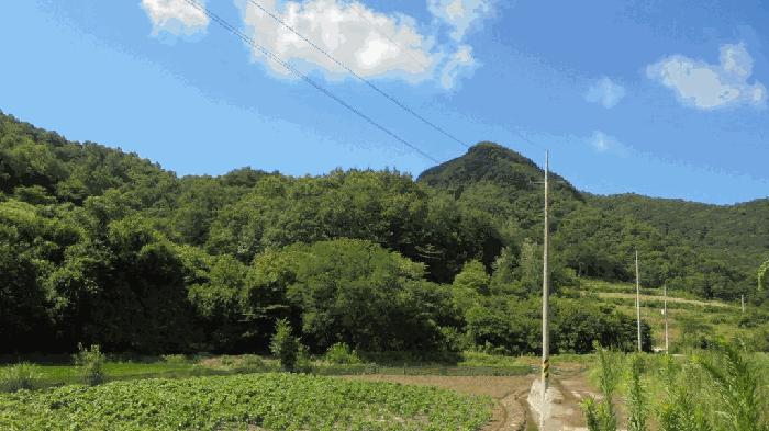전북특별자치도 임실군 신덕면 삼길리 1085 임야 경매 사진 1