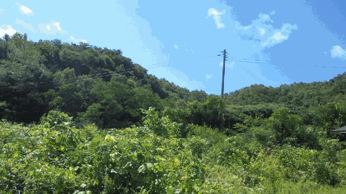 전북특별자치도 임실군 신덕면 삼길리 1085 임야 경매 사진 2