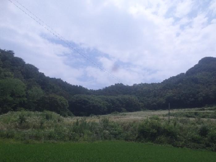 전북특별자치도 임실군 신덕면 삼길리 1085 임야 경매 사진 5