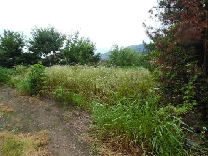 전북특별자치도 전주시 완산구 색장동 822 대지 경매 사진 12