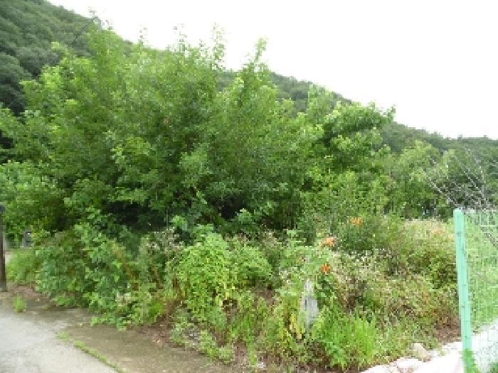 전북특별자치도 전주시 완산구 색장동 822 대지 경매 사진 5